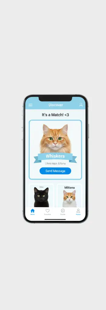 אפליקציית הכרויות לחתולים